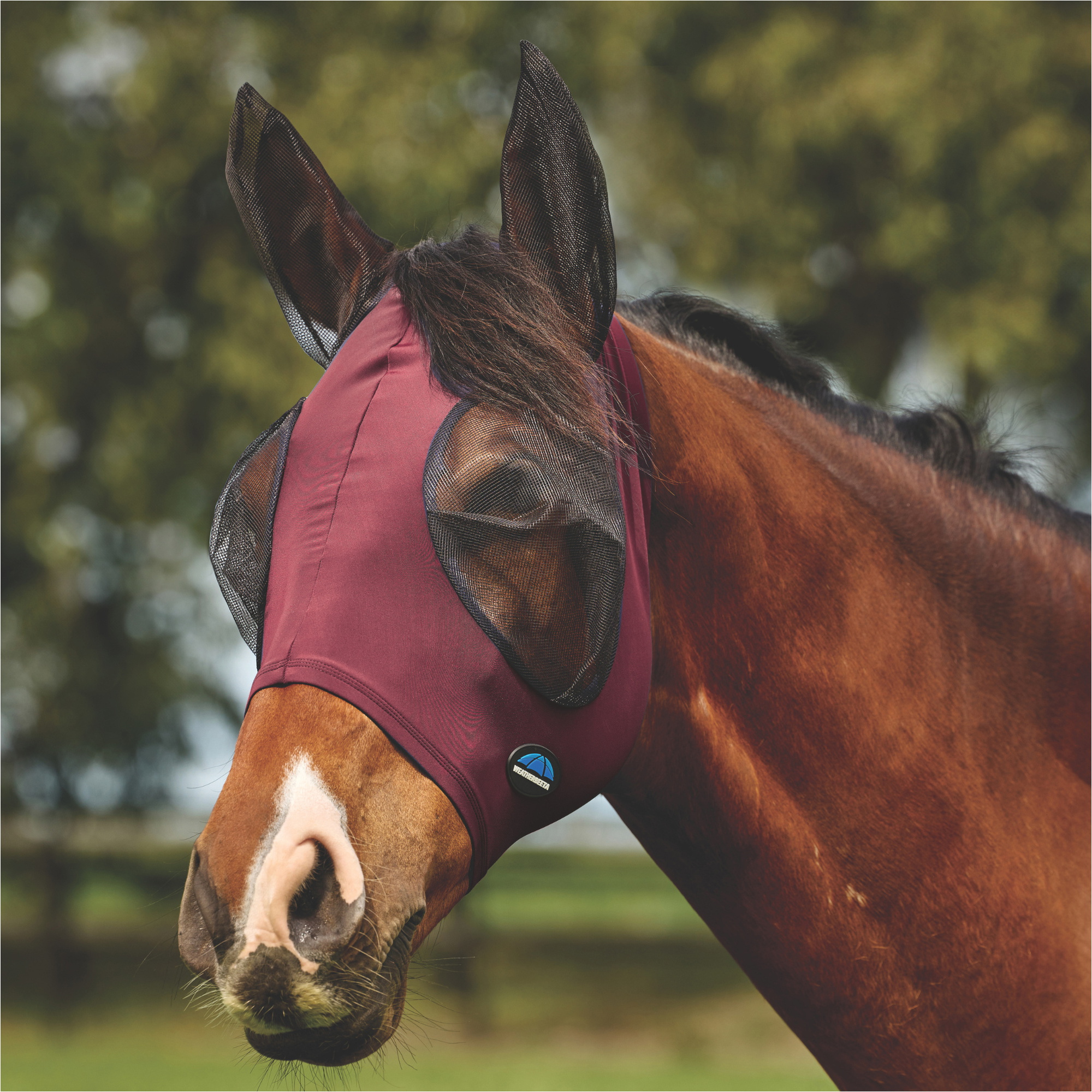 2026 WeatherBeeta Comfitec Deluxe Stretch Masque Anti-mouches Avec Oreilles 1029984 - Bourgogne / Black